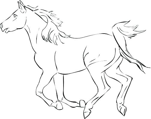 504x397 Wild Horse Coloring Pages