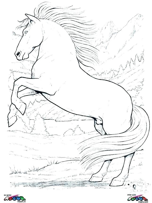 645x860 Coloring Pages Horse Wild Horse Wild Horse Coloring Page Coloring