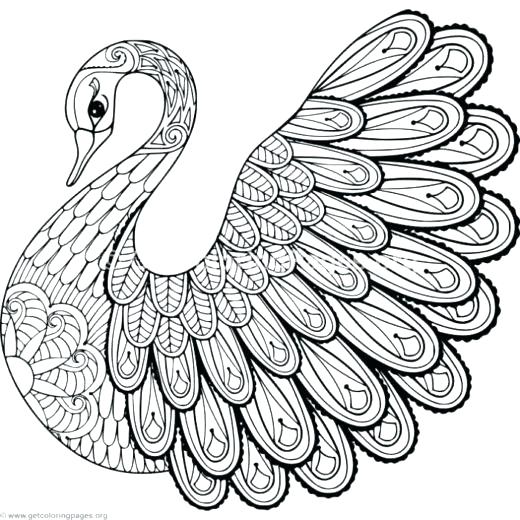 520x520 Zentangle Patterns Coloring Pages Pattern Animal Coloring Pages