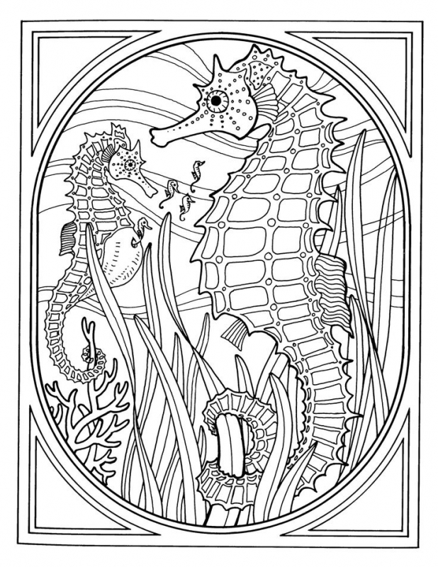 Detailed Realistic Seahorse Hard Coloring Pages For Grown Ups 618x800 Detailed Realistic Seahorse Hard Coloring Pages For Grown Ups