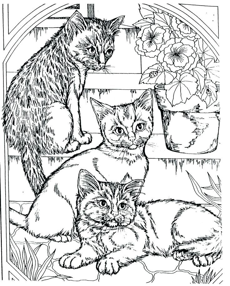 Free Coloring Pages With Lots Of Details Detailed For Teenagers 736x916 Free Coloring Pages With Lots Of Details Detailed For Teenagers