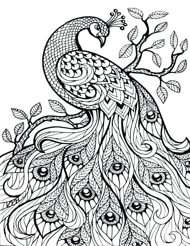 Free Printable Jungle Animals Colouring Pages Zen Anti Stress 615x796 Free Printable Jungle Animals Colouring Pages Zen Anti Stress