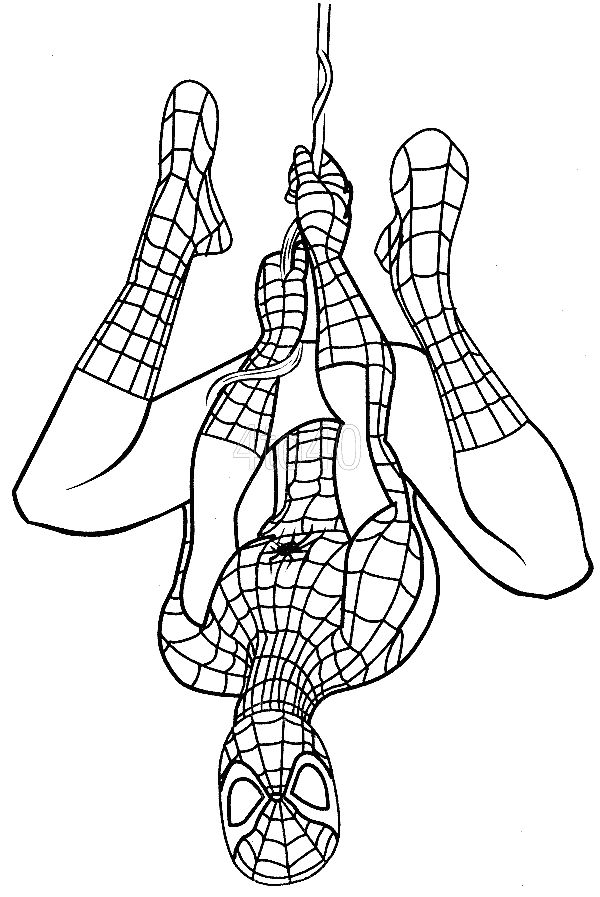 Smartness Ideas Spiderman Coloring Pages Page Org 600x897 Smartness Ideas Spiderman Coloring Pages Page Org