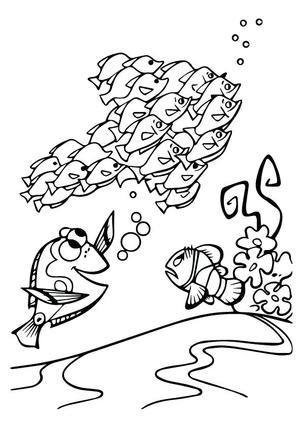 Wonderful Loon Coloring Page Print Coloring Image Loon Coloring 595x842 Wonderful Loon Coloring Page Print Coloring Image Loon Coloring