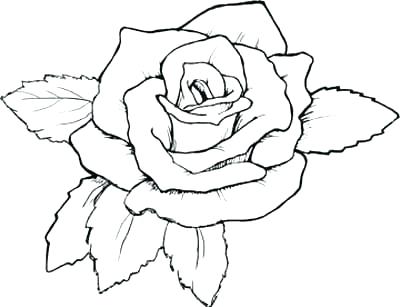 Compass Rose Coloring Page Rose For Coloring Printable Roses 400x307 Compass Rose Coloring Page Rose For Coloring Printable Roses
