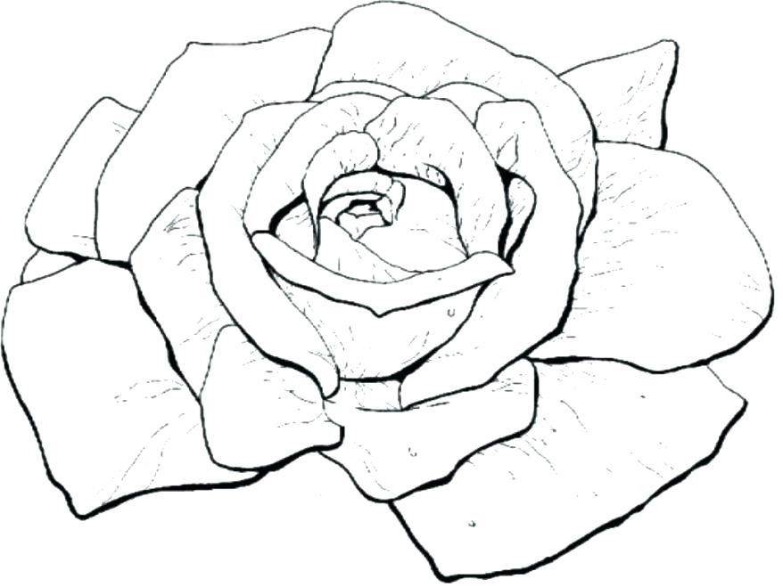 Marvellous Compass Rose Coloring Page Marvellous Compass Rose 878x659 Marvellous Compass Rose Coloring Page Marvellous Compass Rose