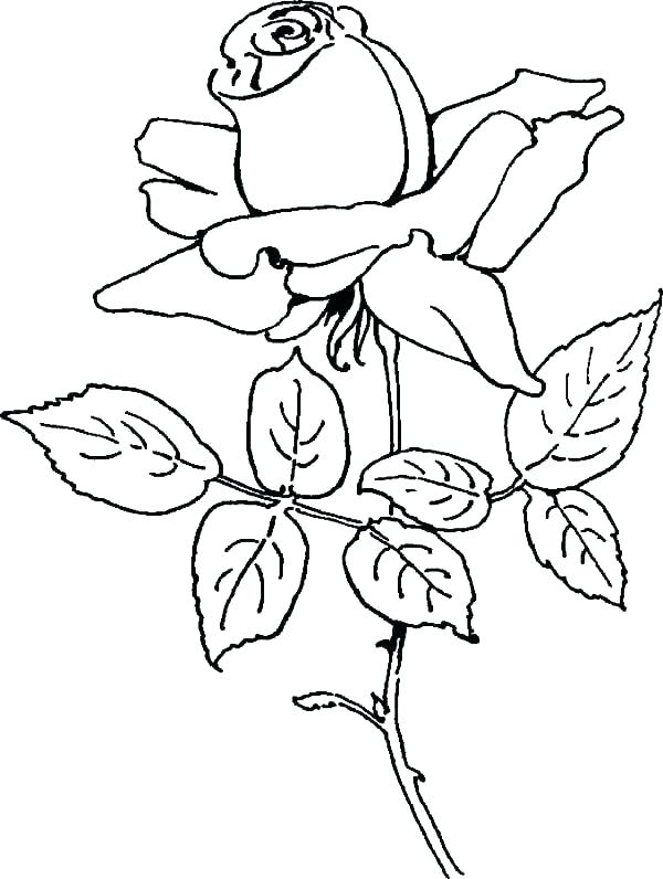 Compass Coloring Page at GetColorings.com | Free printable colorings ...