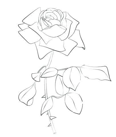 406x480 Compass Rose Coloring Page Coloring Page Rose Click To See