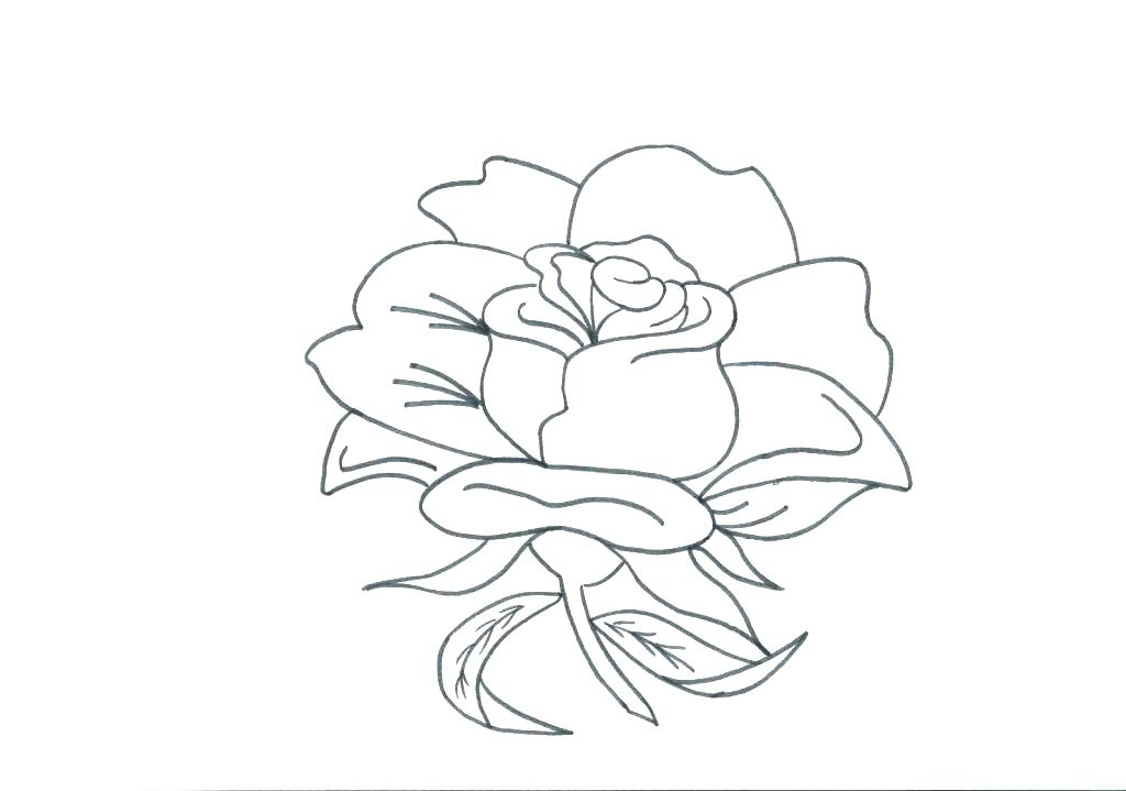1024x719 Border Collie Coloring Pages Border Coloring Pages Roses Coloring