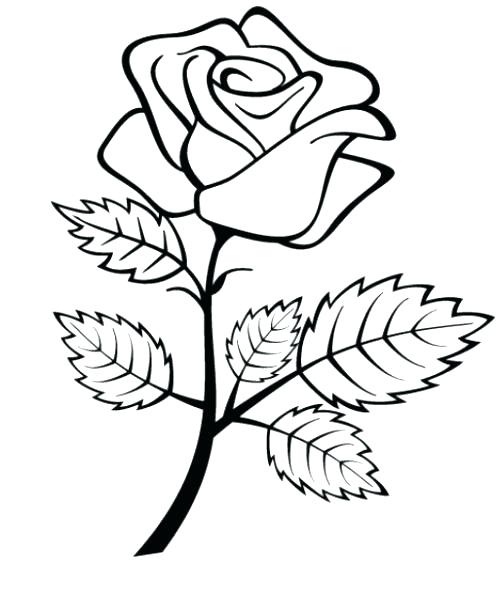500x594 Coloring Pages Of Rose Coloring Pages Rose Skulls And Roses