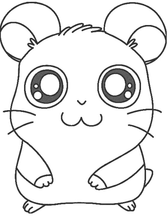 560x740 Hamster Coloring Pages To Print Printable Hamtaro The Hamster