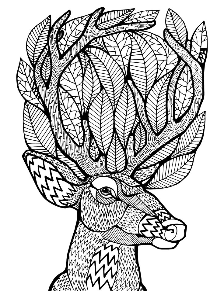 Adult Coloring Pages Mandala Of A Deer Download 736x952 Adult Coloring Pages Mandala Of A Deer Download