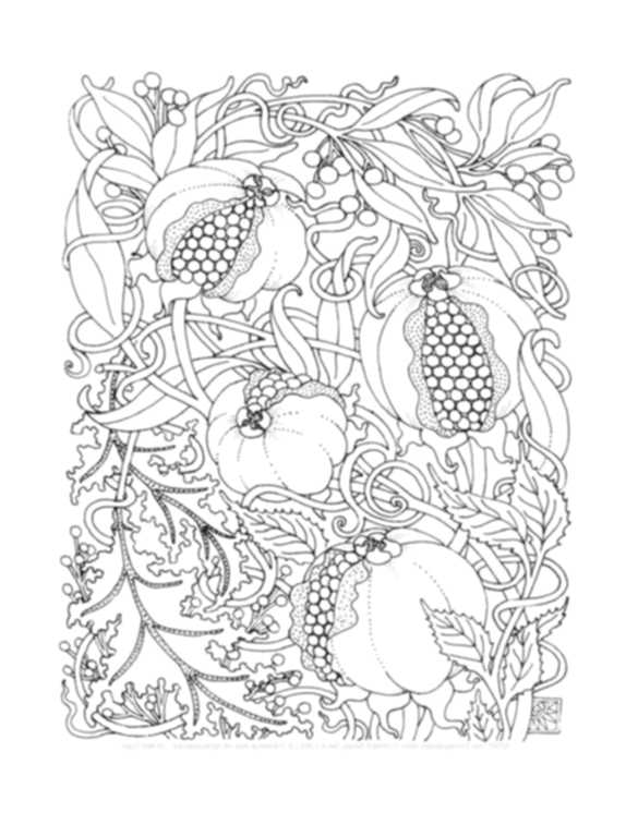 585x757 Print Amp Download