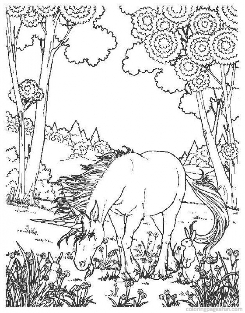 Difficult And Hard Coloring Page Of Realistic Unicorn Fantasy 802x1024 Difficult And Hard Coloring Page Of Realistic Unicorn Fantasy
