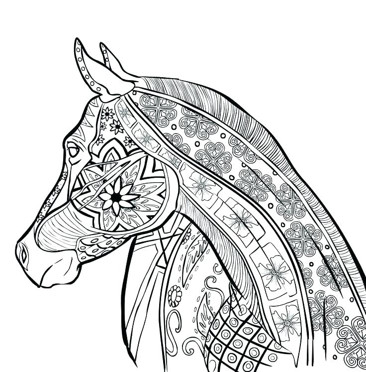 Complex Animal Coloring Pages at GetColorings.com | Free printable ...