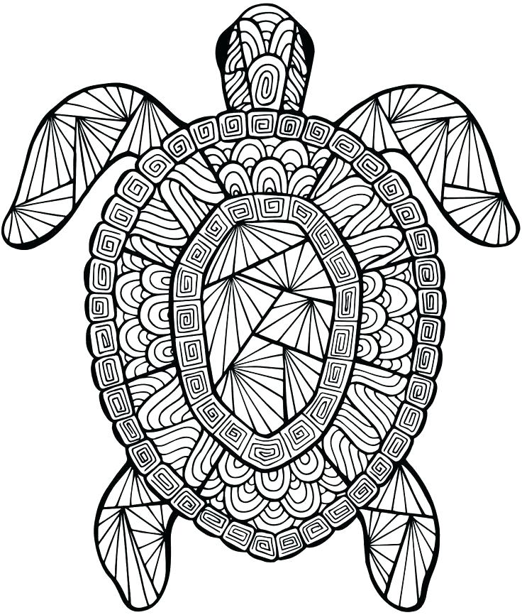 736x866 Detailed Mandala Coloring Pages Nature Coloring Pages Backgrounds