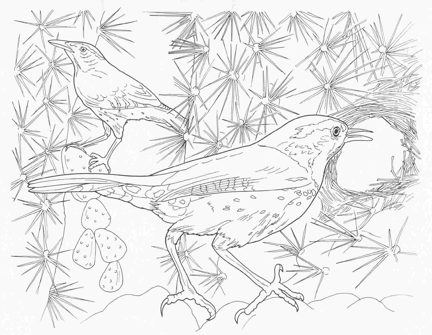 1755x1364 Complex Animal Coloring Pages In Complicated
