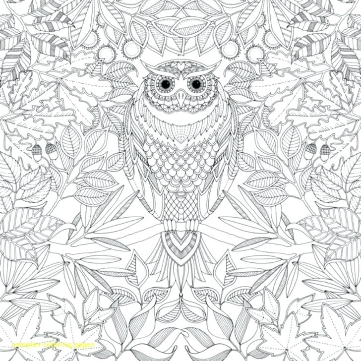 Printable Complex Mandala Coloring Pages The Sun Free For Adults 728x728 Printable Complex Mandala Coloring Pages The Sun Free For Adults