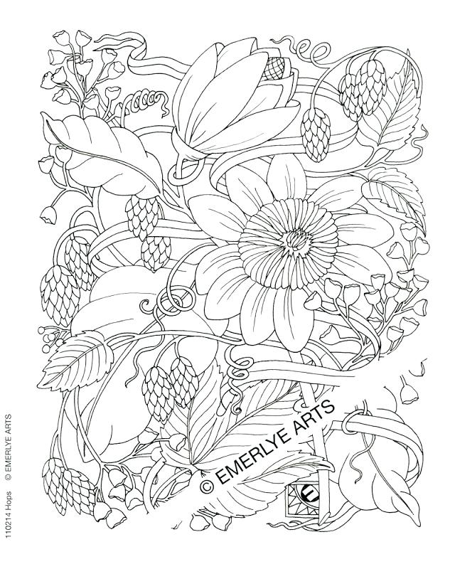 640x800 Coloring Pages To Color Online For Free