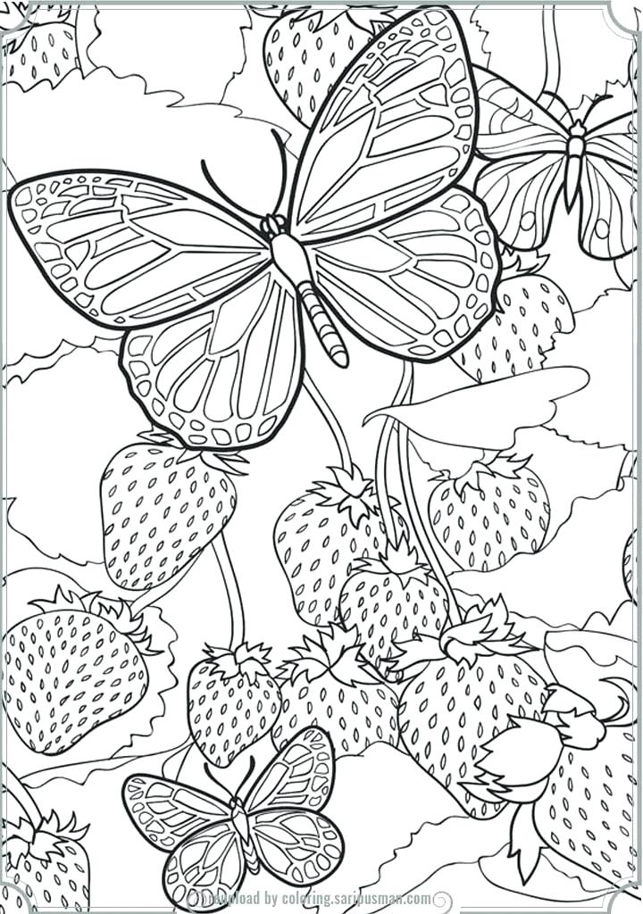 Detailed Butterfly Coloring Pages Detailed Butterfly Coloring 720x1024 Detailed Butterfly Coloring Pages Detailed Butterfly Coloring