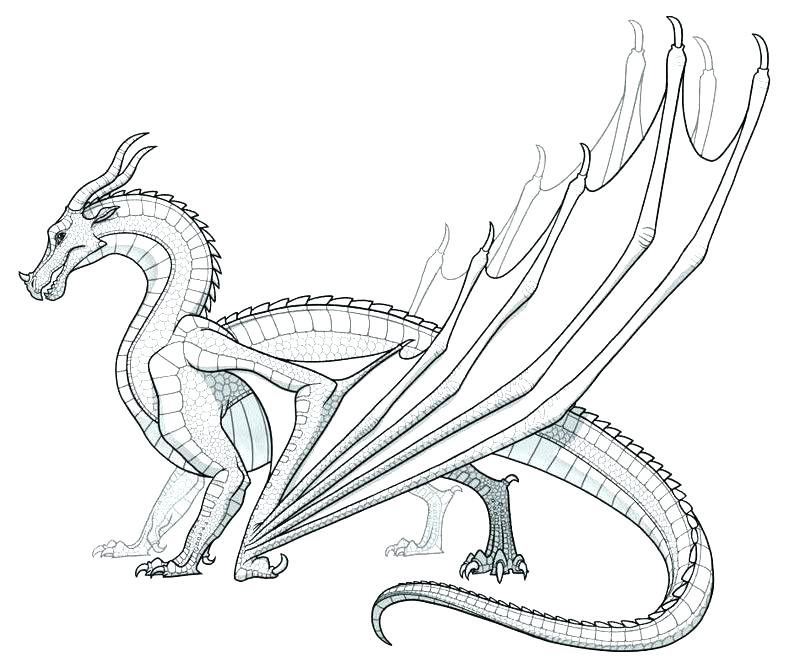 Dragon Printable Coloring Pages 800x668 Dragon Printable Coloring Pages