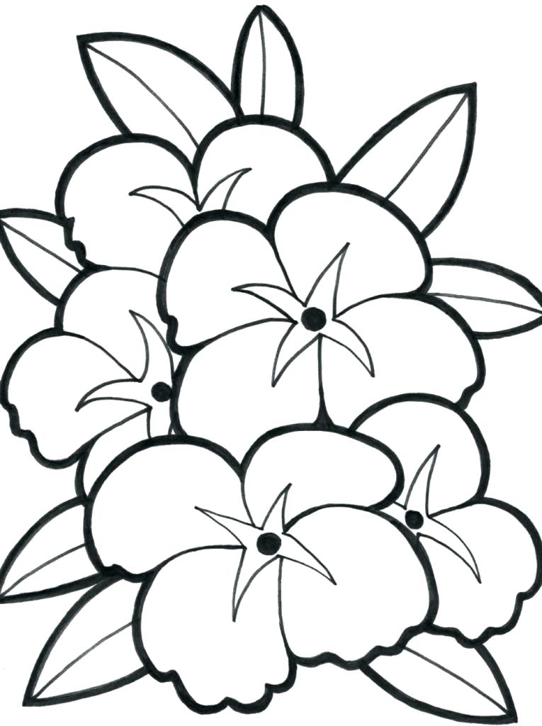 765x1024 Elegant Pretty Flower Coloring Pages And Pretty Flower Coloring