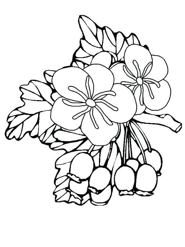 600x800 Printable Hibiscus Coloring Pages Vanda