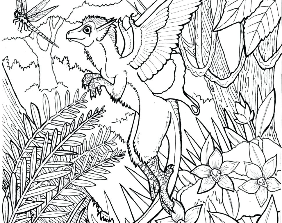 970x768 Printable Complex Coloring Pages Complex Mandala Coloring Pages