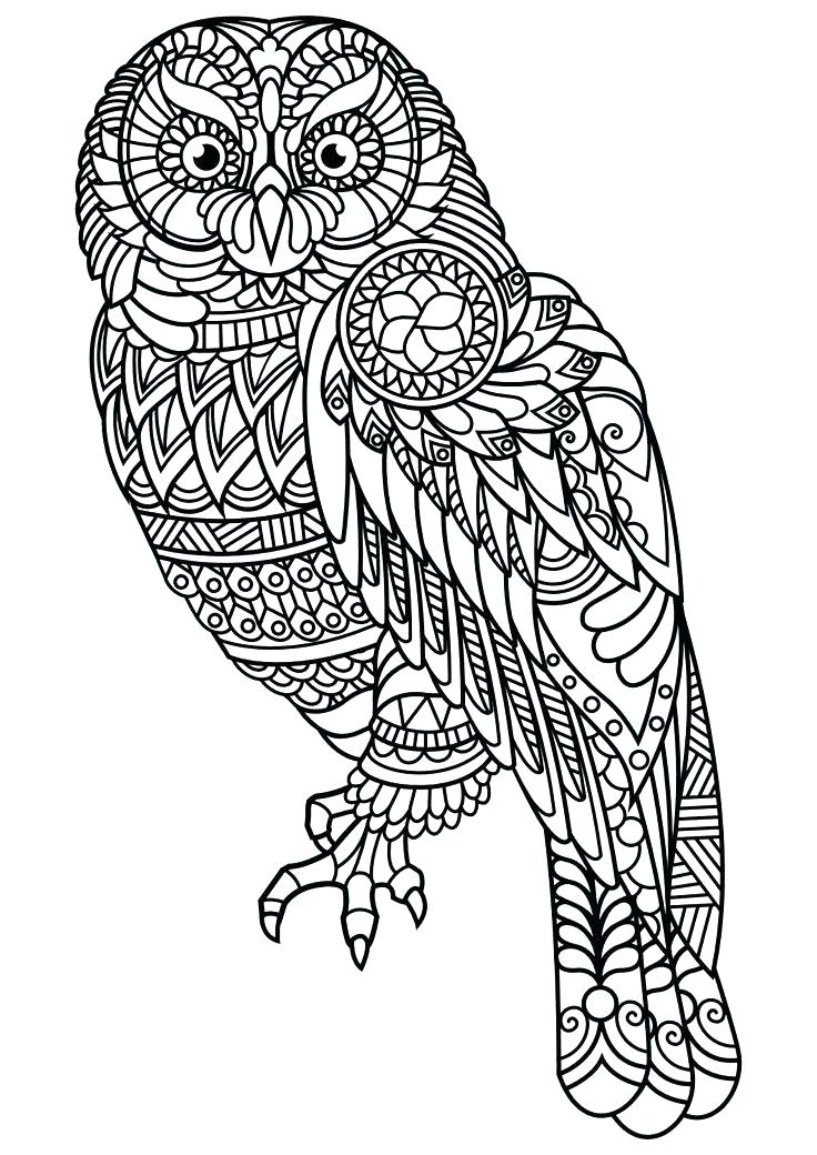 736x1040 Animal Coloring Pages For Adults S S S Difficult Animal Coloring