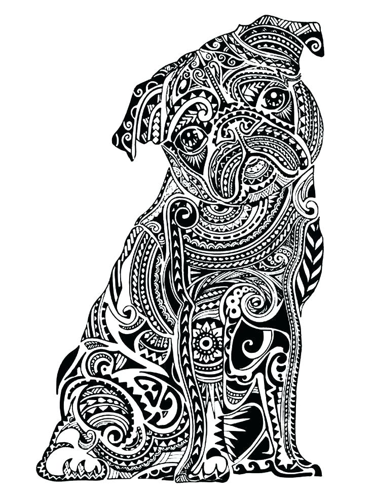 736x981 Animal Coloring Pages For Adults And Hard Animal Coloring Pages