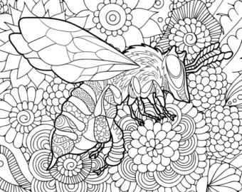 340x270 Complicated Coloring Pages Adult Color Page Etsy Printable