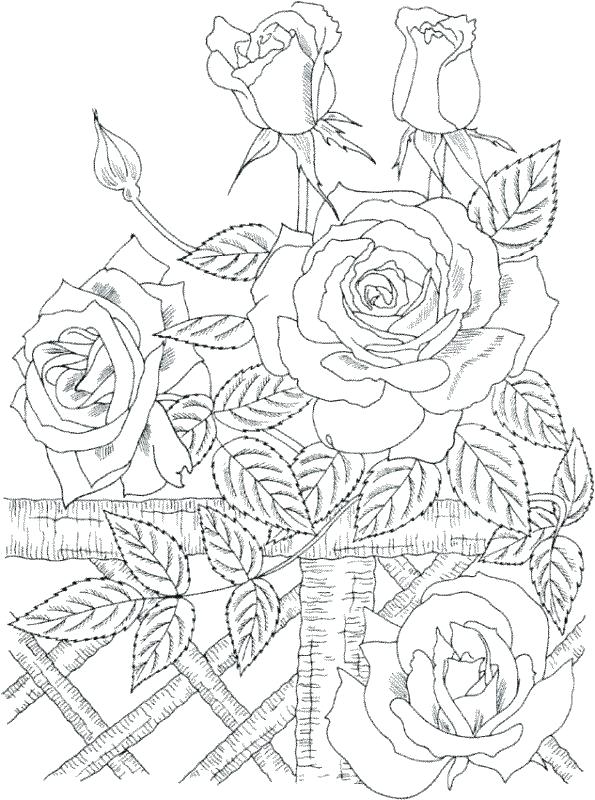 595x800 Beautiful Flower Coloring Pages Pretty Coloring Pages To Print