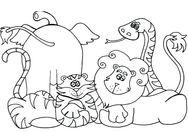 615x432 Free Mandala Coloring Pages Animals Color Of Animal Alphabet