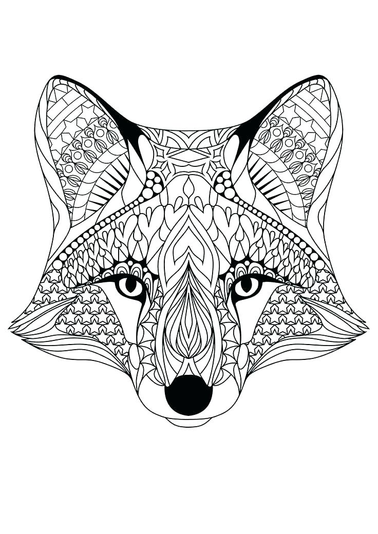 General Lee Coloring Pages A Conch Clam And Scallop Seashell 736x1040 General Lee Coloring Pages A Conch Clam And Scallop Seashell