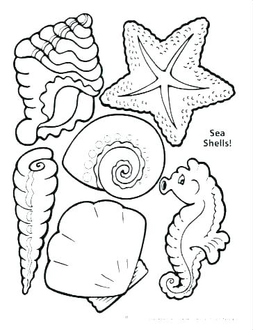 Sea Shell Coloring Page Sea Shell Coloring Page Seashells Coloring 364x473 Sea Shell Coloring Page Sea Shell Coloring Page Seashells Coloring