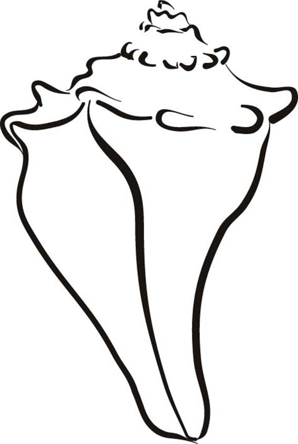 Seashell Coloring Page Unique Plex Coloring Pages 600x892 Seashell Coloring Page Unique Plex Coloring Pages