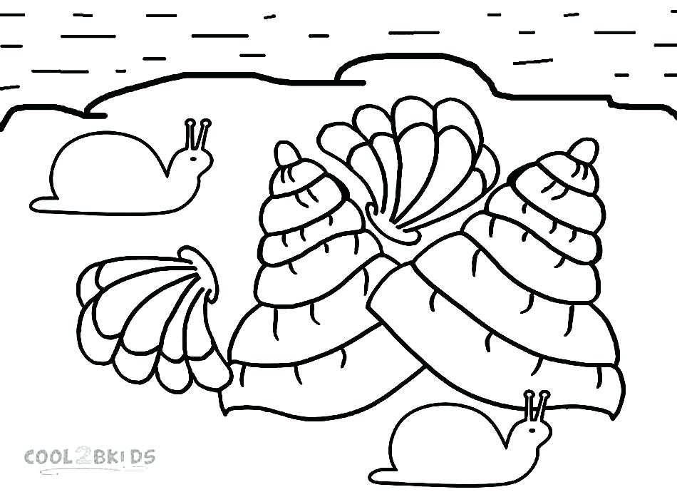 Seashells Coloring Page Seashell Coloring Pages Fighting Conch 950x690 Seashells Coloring Page Seashell Coloring Pages Fighting Conch