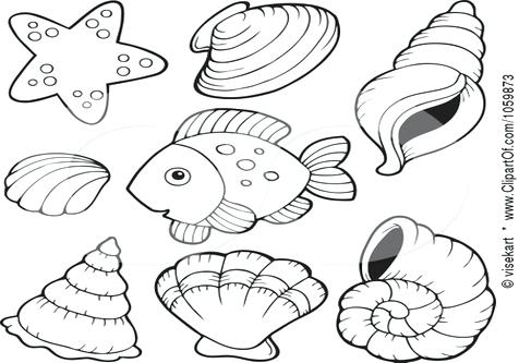 Shell Coloring Pages Coloring Page Shell Nature Printable Coloring 476x333 Shell Coloring Pages Coloring Page Shell Nature Printable Coloring