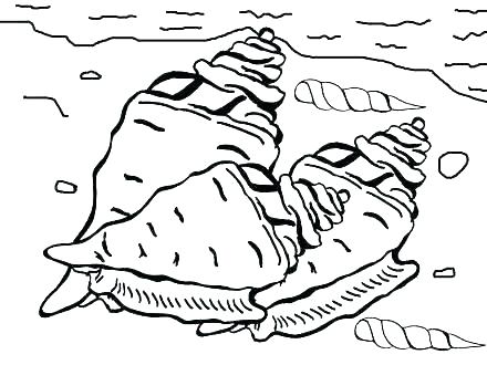 Best The Sea Coloring Pages Of Seashells Seashells Home 440x330 Best The Sea Coloring Pages Of Seashells Seashells Home