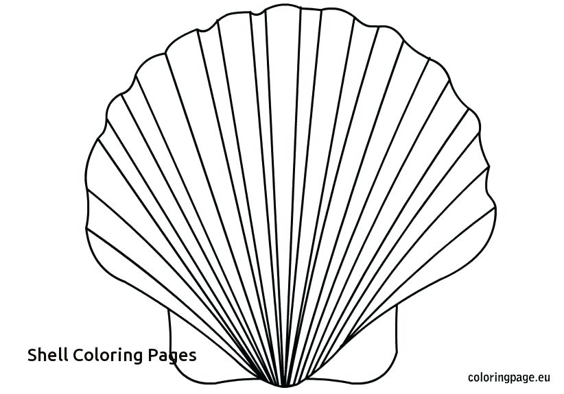 Clam Coloring Page General Lee Coloring Pages Lee Coloring Pages 822x575 Clam Coloring Page General Lee Coloring Pages Lee Coloring Pages