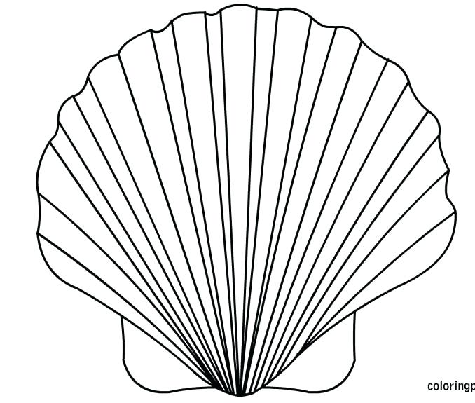 Sea Shell Coloring Page Sea Shell Coloring Page Fighting Conch 678x575 Sea Shell Coloring Page Sea Shell Coloring Page Fighting Conch