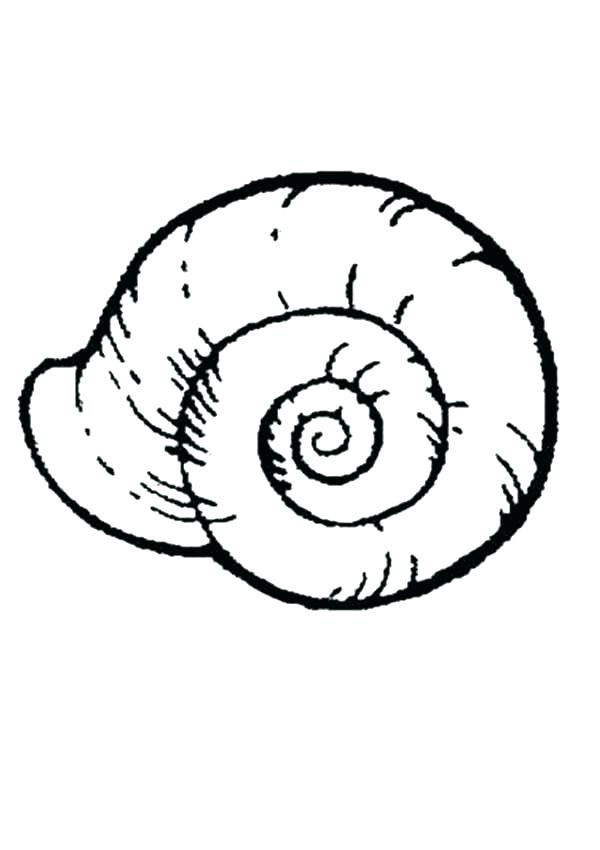 Shell Coloring Pages Sea Shell Coloring Pages Turtle Shell 600x850 Shell Coloring Pages Sea Shell Coloring Pages Turtle Shell