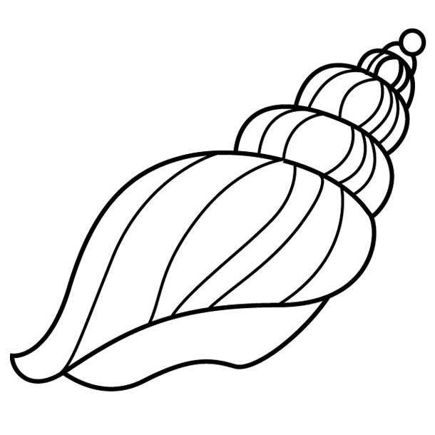 Shell Coloring Pages Unique Free Coloring Pages Of Conch Shell 610x610 Shell Coloring Pages Unique Free Coloring Pages Of Conch Shell
