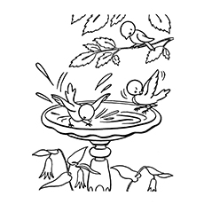 Condor Coloring Page