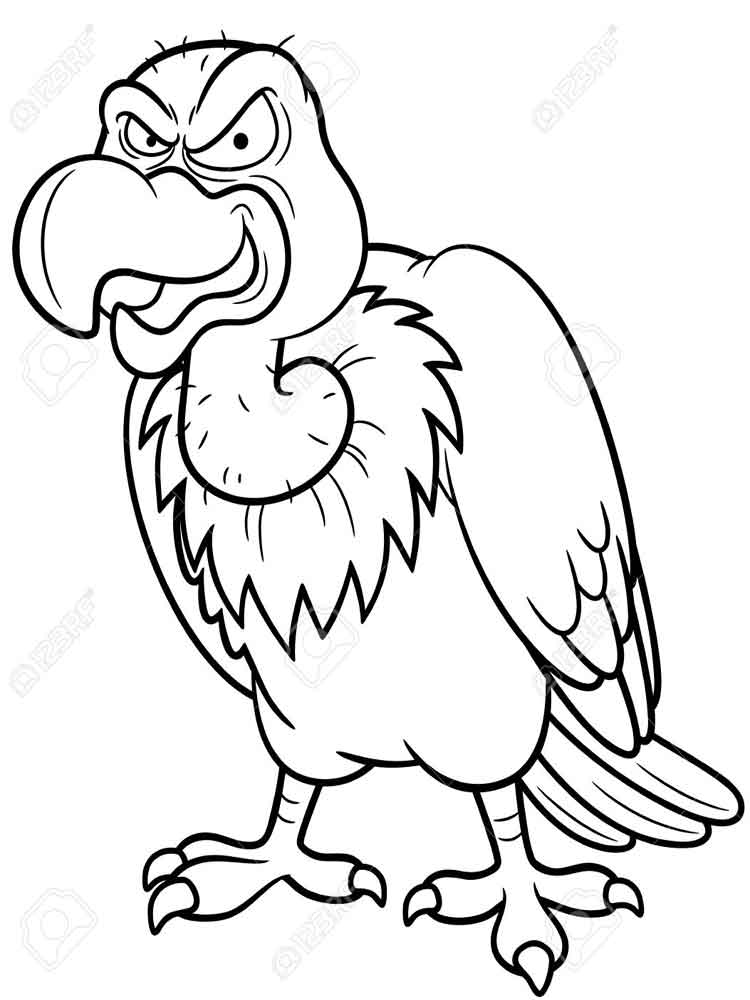 Condor Coloring Pages. Download And Print Condor Coloring Pages 750x1000 Condor Coloring Pages. Download And Print Condor Coloring Pages