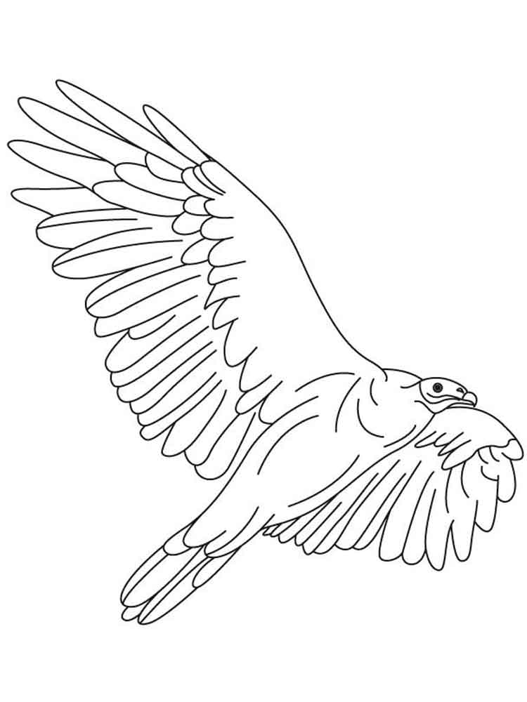 Vulture Coloring Pages. Download And Print Vulture Coloring Pages 750x1000 Vulture Coloring Pages. Download And Print Vulture Coloring Pages