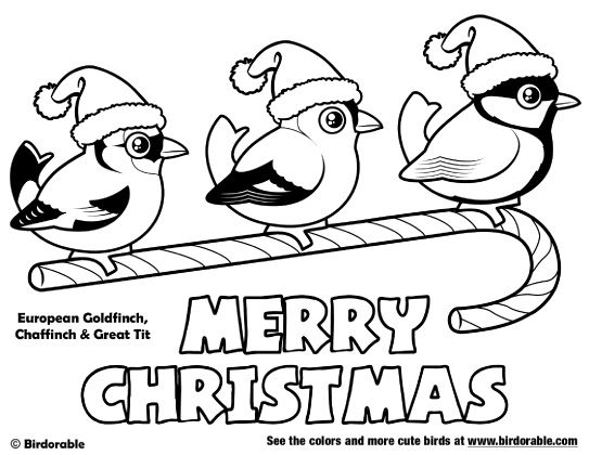 Birdorable European Goldfinch, Chaffinch Amp Great Tit Christmas 543x420 Birdorable European Goldfinch, Chaffinch Amp Great Tit Christmas