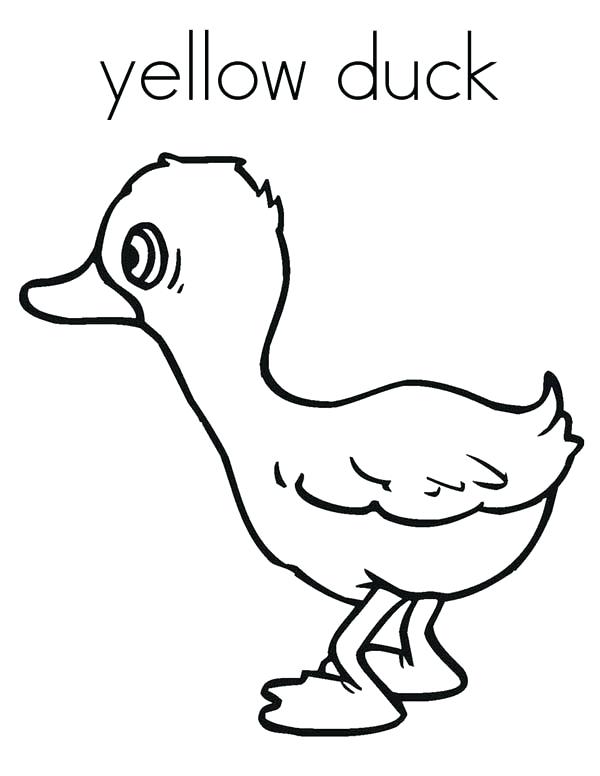Constellations Coloring Pages Yellow Duck Coloring P And Yellow 600x776 Constellations Coloring Pages Yellow Duck Coloring P And Yellow
