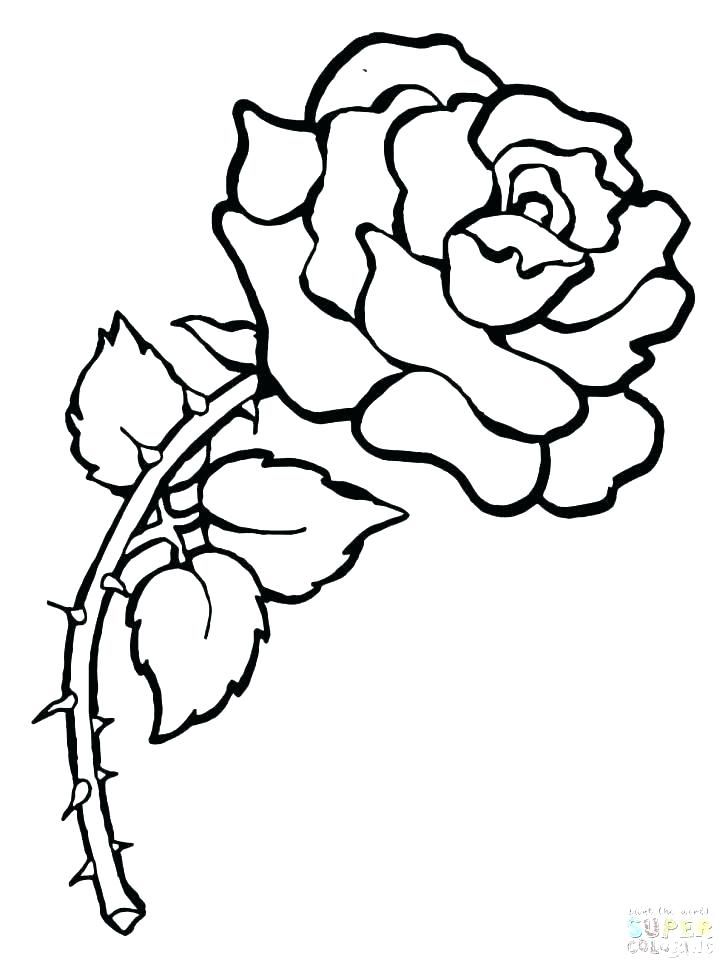 728x971 Convert Photo To Coloring Page Turning Pictures Into Coloring