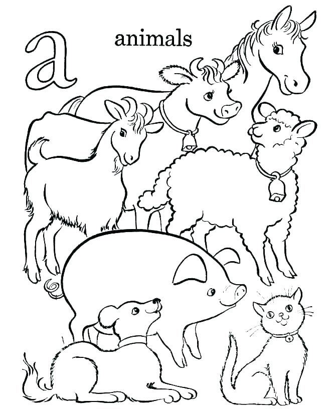 Hard Animal Coloring Pages Cool Animal Coloring Pages Coloring 670x820 Hard Animal Coloring Pages Cool Animal Coloring Pages Coloring